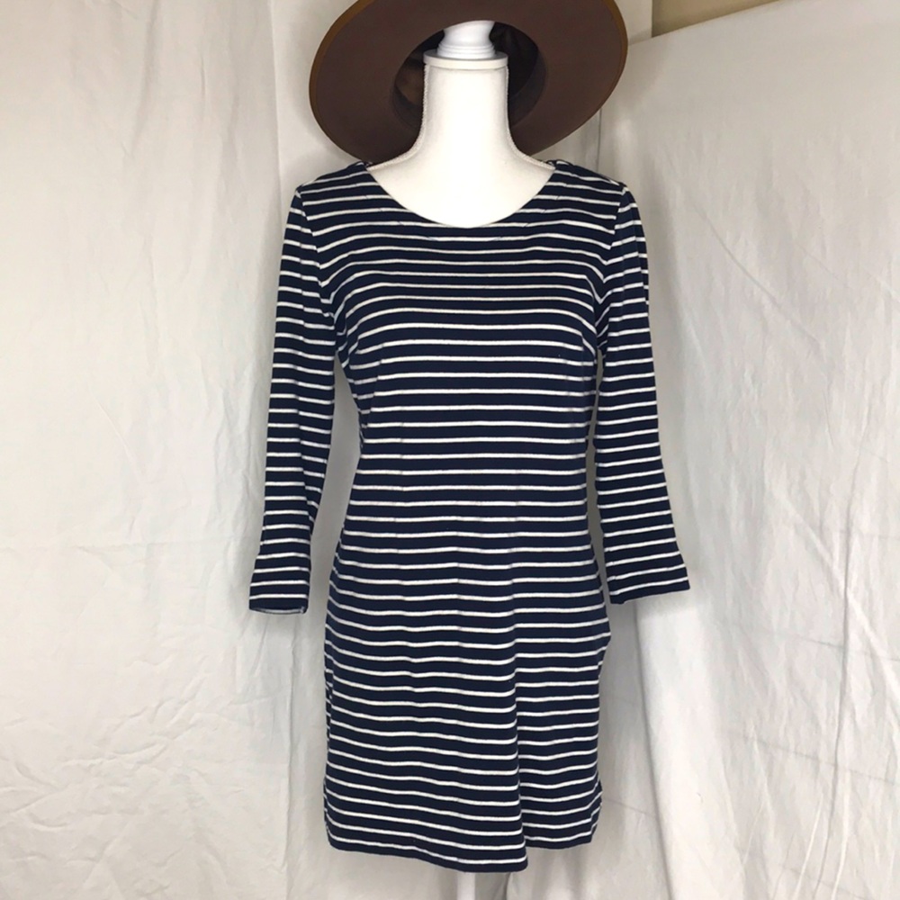J Crew Dress